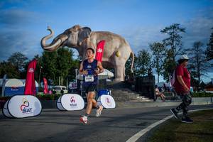 BIB: 
                            <button type="button" onclick="openModal(26541847)" class="btn btn-primary btn-sm float-right btn-popup" data-toggle="modal" data-target=".modal-high-quality">
                        <i class="fas fa-shopping-cart"></i> Add to Cart
                    </button>
                                            <button type="button" onclick="isThisMe(26541847, true)" class="btn btn-success btn-sm float-right btn-popup btn-isme hidden" data-toggle="tooltip" data-placement="bottom" title="นี่คือรูปของคุณใช่ไหม คลิกที่นี่เพื่อเอาเข้าอัลบั้ม">
                        <i class="fas fa-plus"></i> Add to album
                    </button>
                    <button type="button" onclick="isThisMe(26541847, false)" class="btn btn-warning btn-sm float-right btn-popup btn-isnotme hidden">
                        <i class="fas fa-ban"></i> Remove from album
                    </button>